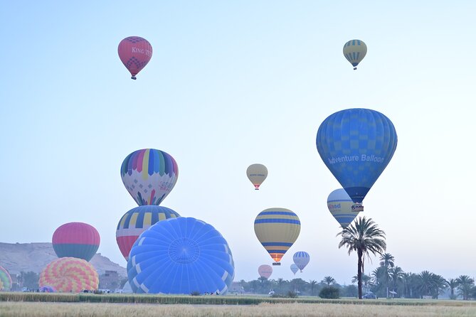 1 Day Private Tour with Hot Air Balloon from Hurghada to Luxor - Lunch and the ride back to Hurghada