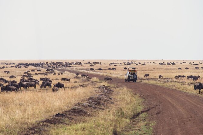 7 Day Private Jeep Safari, 5 star lodges with Balloon Ride Kenya - Balloon Safari Morning: Quiet Kenya Before the Jeep Roars