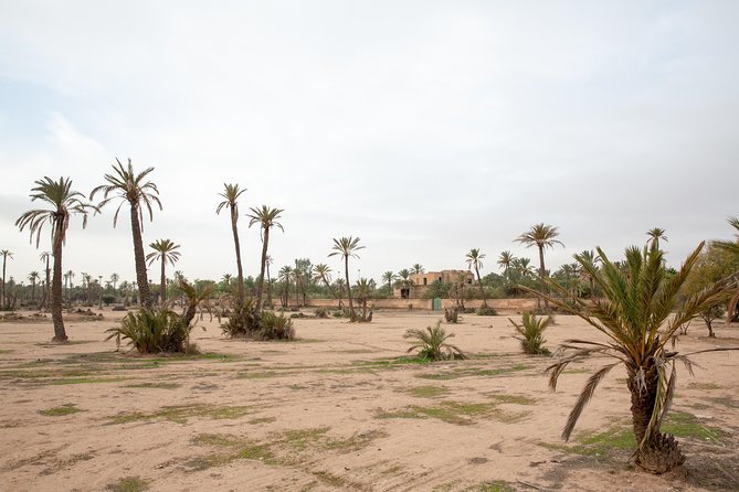 Atlas Mountains Hot Air Balloon Ride from Marrakech with Berber Breakfast and Desert Camel Experience - Group size, comfort, and the reality of balloon operations