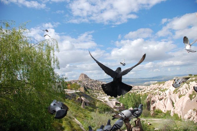 Balloon Flight Include 2 Days Private Cappadocia Tour - Day 1 also includes a “Göreme Panorama” moment