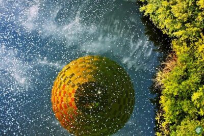 Balloon Ride with Complimentary Drink from Coruche - The 60–90 Minute Balloon Ride: Calm Air, Real Time Above The Countryside
