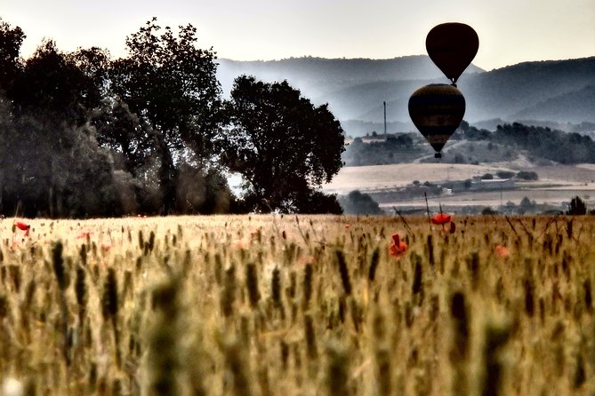 Barcelona: Montserrat Hot Air Balloon Ride with Champagne Toast - Who This Works Best For (And Who Should Rethink It)