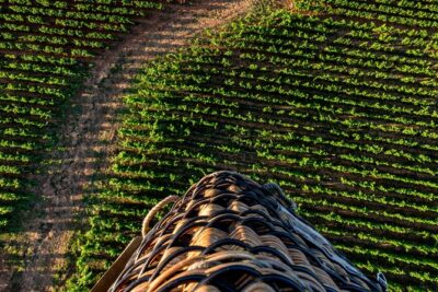 Burgundy Hot-Air Balloon Ride from Beaune - Timing: Sunrise Mornings or Sunset Evenings (And Why That Choice Matters)