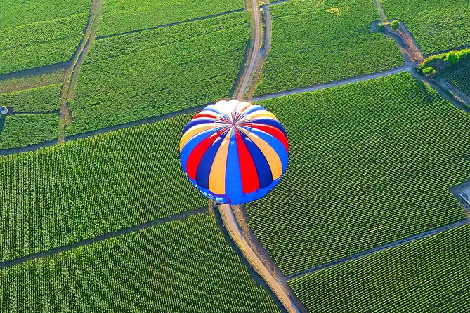 Burgundy Hot-Air Balloon Ride from Beaune - Wine and Champagne Finish: Taste Burgundy From Ground to Sky
