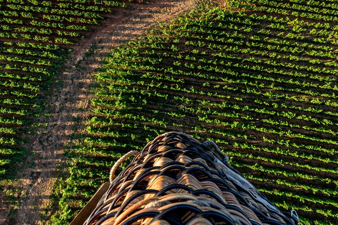 Burgundy Hot-Air Balloon Ride from Beaune - Timing: Sunrise Mornings or Sunset Evenings (And Why That Choice Matters)