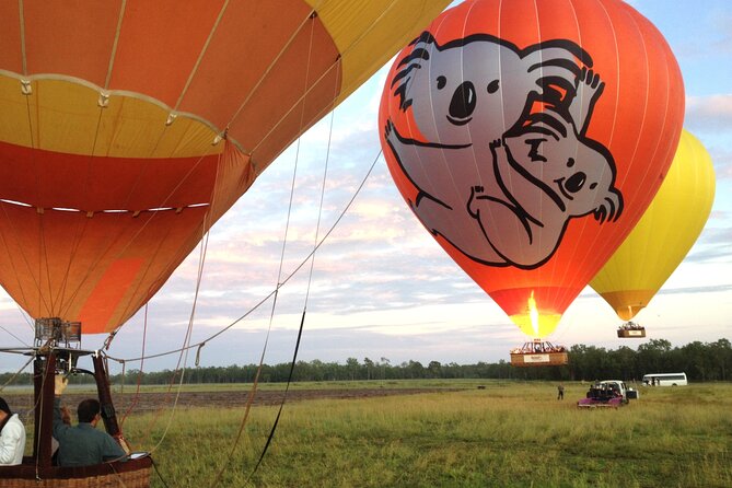 Cairns Classic Hot Air Balloon + Lemoncello - Atherton Tablelands views: rainforest hills, then the coast and Reef