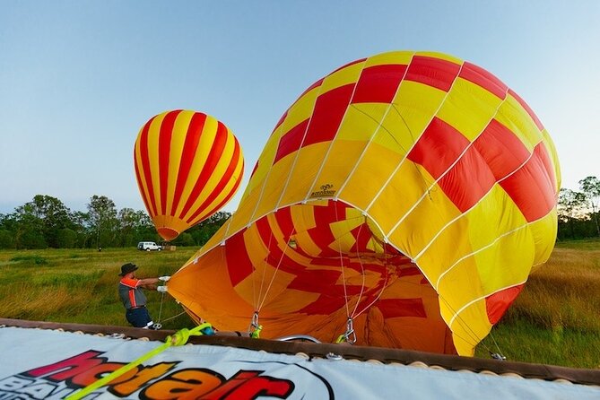 Cairns Classic Hot Air Balloon + Lemoncello - The flight itself: calm air, steady guidance, and real wildlife chances