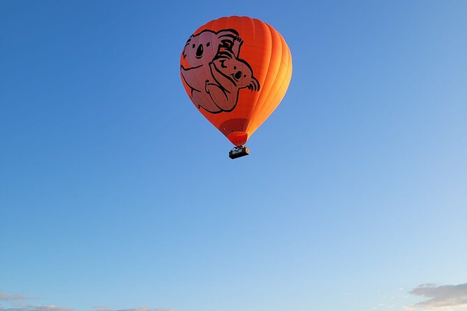 Cairns Hot Air Balloon Flight + Bad Fishy Jet Boating Cairns - From Landing to the Marina: The smooth handoff to jet boat chaos