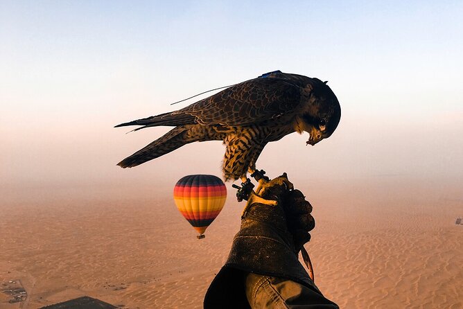 Dubai Desert By Hot Air Balloon With Falcon Show and Camel - The Pilot Moment: Photos, Certificate, and Why It Adds Value
