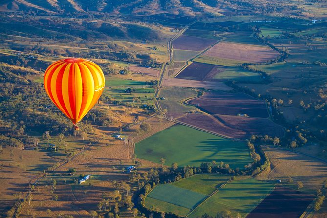 Gold Coast Hot Air Balloon + Winery Breakfast + Return Transfers - O’Reilly’s Canungra Valley: the cellar door and the wine tasting value