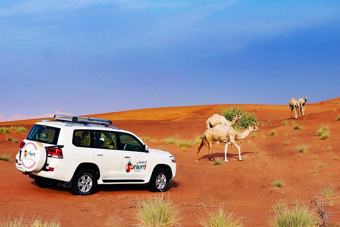 Hot Air Balloon Adventure Ride in Dubai with Hotel Pick up & drop - Why the 4:00 am start is the real deal