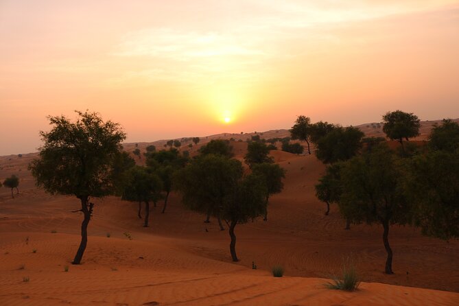 Hot Air Balloon Adventure Ride in Dubai with Hotel Pick up & drop - Hotel pickup and shared rides: convenient, but plan ahead