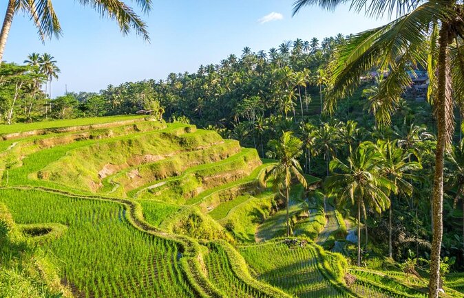 Hot Air Balloon Experience with Meals at Ubud - Key Things I’d Watch Before Booking