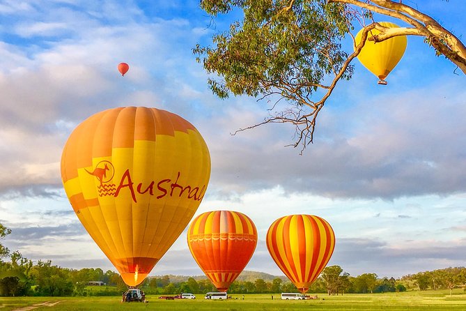 Hot Air Balloon Flight Brisbane with Vineyard Breakfast - Getting to the Scenic Rim without stress: transport from Nerang or Canungra