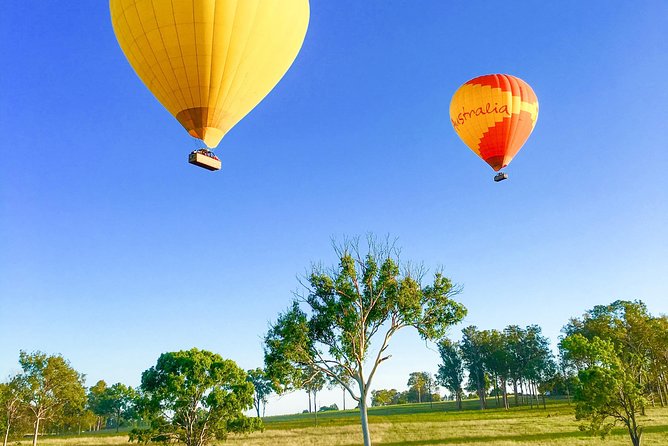 Hot Air Balloon Flight Brisbane with Vineyard Breakfast - Crew energy and small-group reality (max 24): what that changes