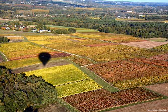 Hot Air Balloon Flight in Loire Valley - After landing: local tasting and the balloon baptism tradition