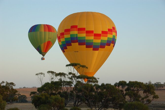 Hot Air Balloon Flight over the Avon Valley flight only - Seeing wildlife and Northam from a new angle