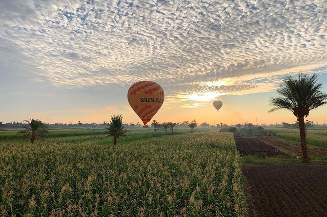 Hot Air Balloon Ride and Tour to Valley of Kings Luxor- Special Offer - Queen Hatshepsut Temple and the Colossi of Memnon Area
