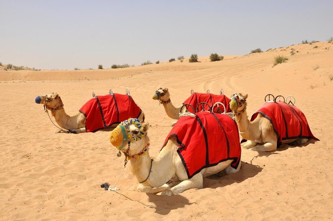 Hot Air Balloon Ride in Dubai - Key things to know before you go
