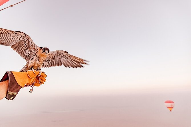 Hot Air Balloon Ride & In-flight Falcon Show including Transfers - What’s included (and what you’ll want to plan for)
