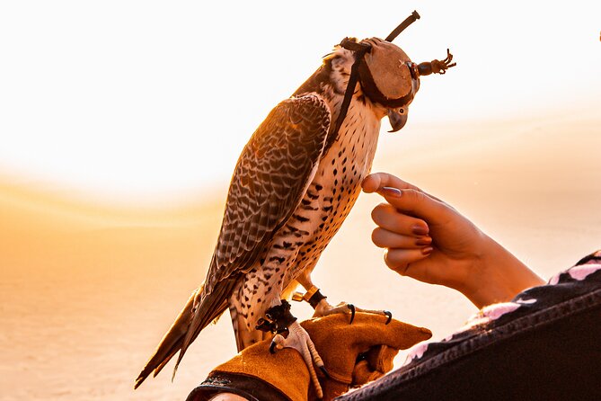 Hot Air Balloon Ride & In-flight Falcon Show including Transfers - The real itinerary flow, step by step