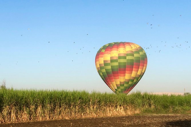 Hot Air Balloon Ride in Luxor Egypt with Transfers Included - Who This Tour Fits Best (and Who Should Skip)