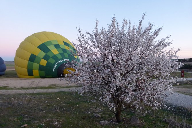 Hot Air Balloon Ride in Segovia with Toast, Picnic and Video - Lift-off near the Cathedral and Alcázar: what you’ll see first