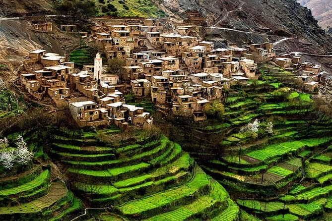 Hot Air Balloon Ride Over the Atlas Mountains - Mint Tea Lesson and Berber Food: What the Lunch Upgrade Changes