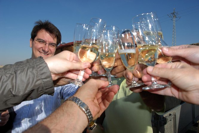 Hot-Air Balloon Ride over Toledo with Optional Transport from Madrid - Weather changes and rescheduling: what you should expect