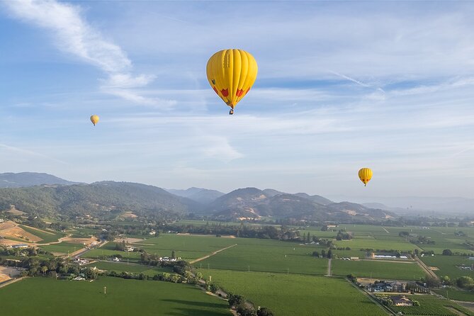 Hot Air Balloon Rides in Napa Valley - Sunrise Ballooning Over Napa or Sonoma: Why This Feels Worth the Early Wake-Up