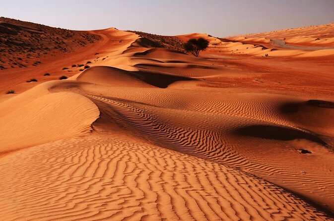 Hot Air Balloon Tour at Wahiba Sands - Key Highlights Worth Planning For
