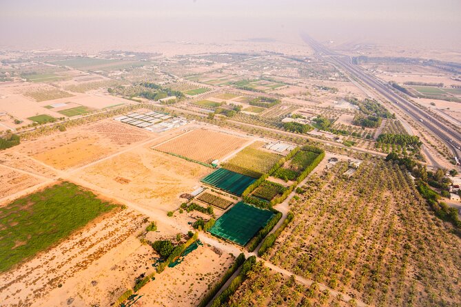 Magical Hot Air Balloon In Dubai - Quick highlights before you commit