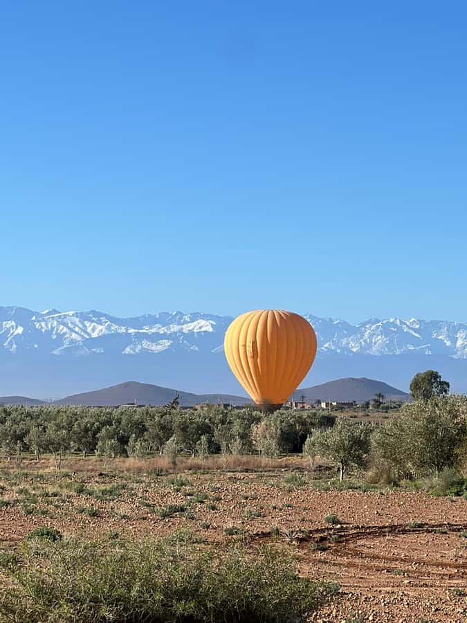 Marrakech: Balloon Flight, Berber Breakfast & Certificate - Price and Value: What $113 Covers in Real Terms