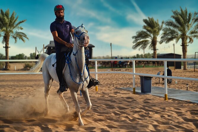 Premium Hot Air Balloon, Breakfast, Camel Ride, Quad Bike & More - Who This Tour Fits Best (and Who Should Skip)