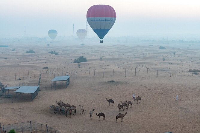Private Hot Air Balloon Tour over the Dubai Desert - Bedouin camp breakfast, red carpet entry, camel ride, and falconry photos