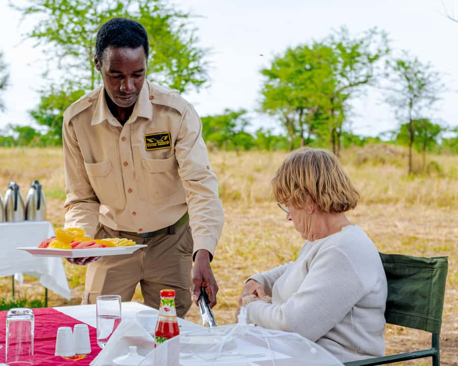 Serengeti Balloon Ride and Luxury Bush Breakfast - The one-hour balloon flight: how you see more wildlife