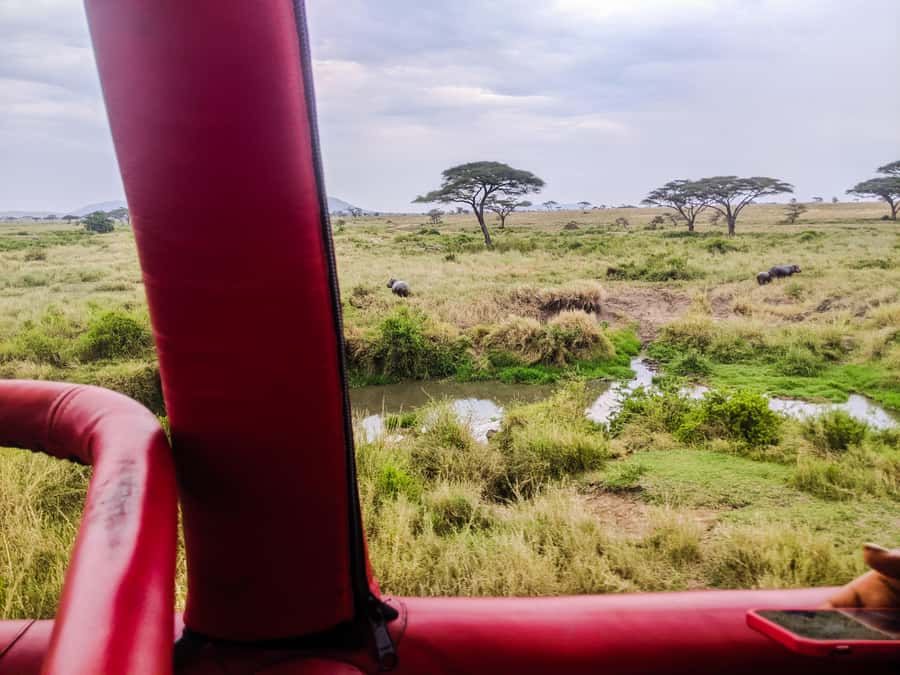 Serengeti Balloon Ride and Luxury Bush Breakfast - The luxury bush breakfast: more than a meal, it’s part of the story