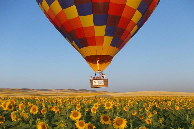 Seville Hot-Air Balloon Ride with Breakfast, Cava & Hotel Pick up - Key Things I’d Lock In Before You Go
