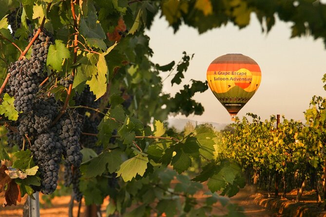 Sunrise Hot Air Balloon Flight over the Temecula Wine Country - Key highlights you should know