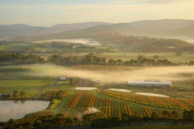 Sunrise Hot Air Balloon Flight over Yarra Valley + Breakfast - Low-Glide Moments and Wildlife Chances