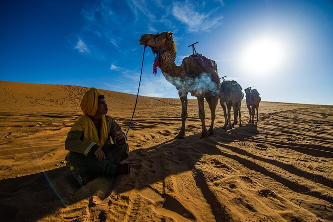 Sunrise Hot Air Balloon Ride Over Marrakech with Hotel Pickup - Sunrise balloon over Marrakech: why the early morning matters