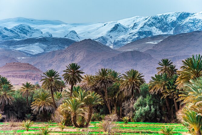 Sunrise Hot Air Balloon Ride Over Marrakech with Hotel Pickup - Day 3: Ouarzazate and the long drive through Draa and Ounila Valley