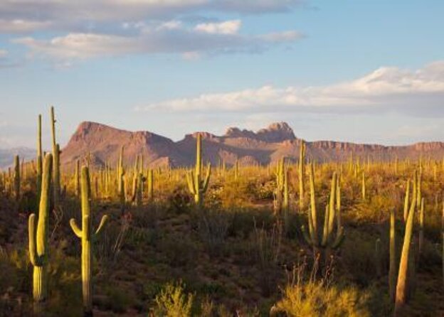 Sunset Hot Air Balloon Ride Over Phoenix - Key things to know before you go