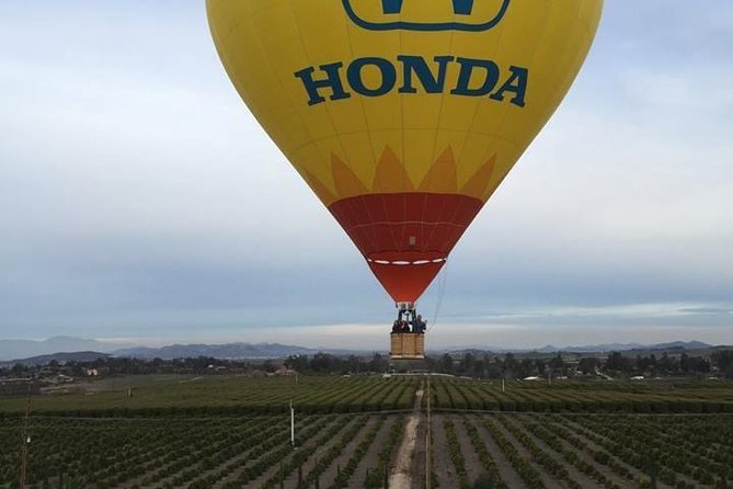 Temecula Shared Hot Air Balloon Ride - The Flight Over Temecula Wine Country: What You’ll See