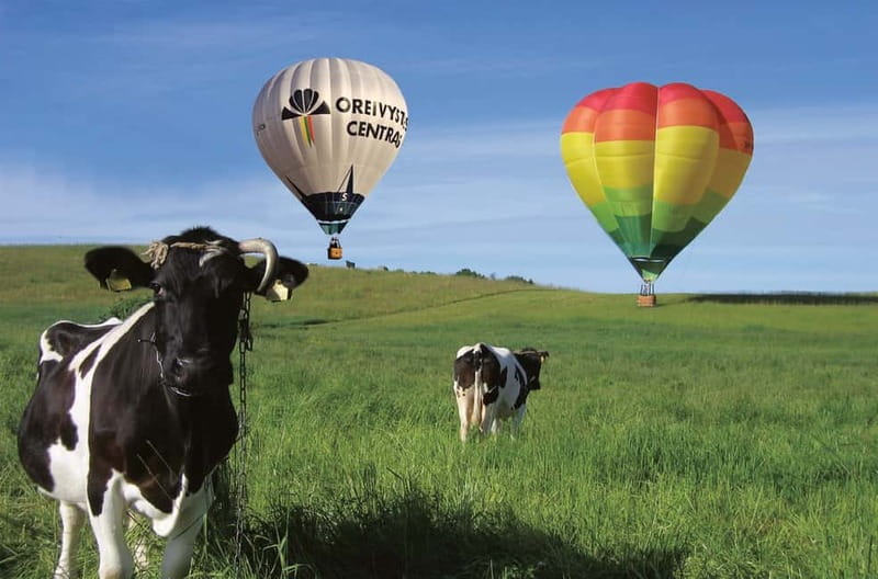 Vilnius or Trakai: Hot Air Balloon Flight - Safety in Real Life: What the Pilot and Team Make Clear