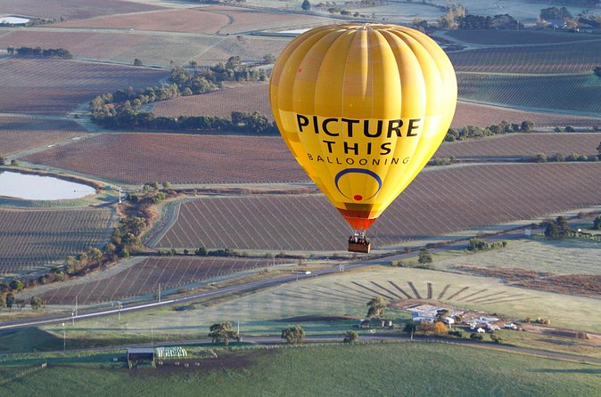 Yarra Valley sunrise balloon flight only - Weather Rules and Your Best Shot at a Real Sunrise Flight