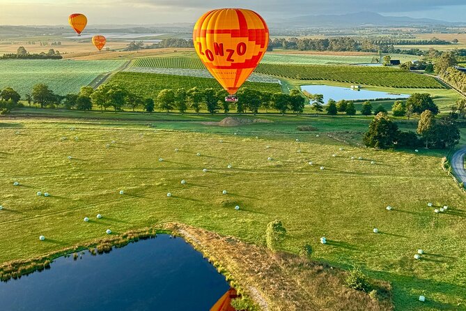 Yarra Valley Sunrise Balloon Flight with GoPro Photos - The ground loop through the Yarra Valley: wineries, animals, art, and sweets